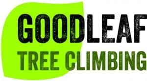 Goodleaf Cowes Week Tree Climbing @ Northwood House and Park